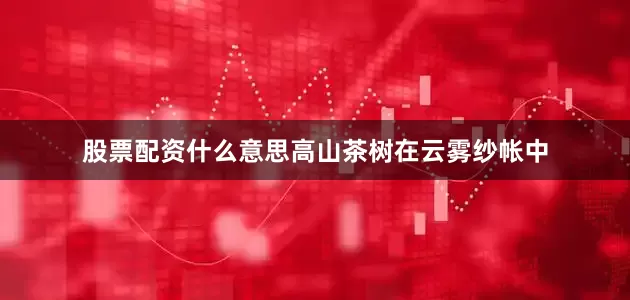 股票配资什么意思高山茶树在云雾纱帐中