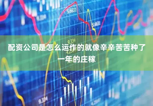 配资公司是怎么运作的就像辛辛苦苦种了一年的庄稼